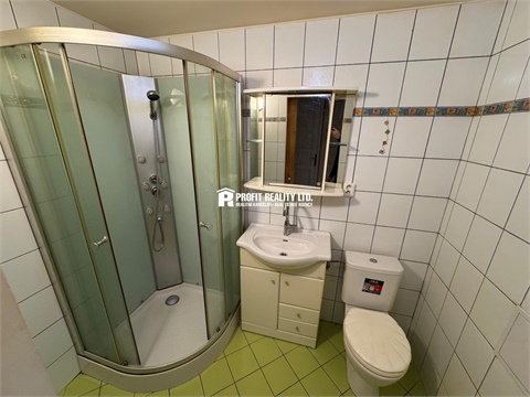 Pronájem bytu 1+1, 48 m² 10