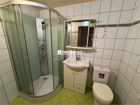 Pronájem bytu 1+1, 48 m² - 10