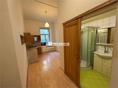 Pronájem bytu 1+1, 48 m² 8