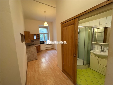 Pronájem bytu 1+1, 48 m² 6