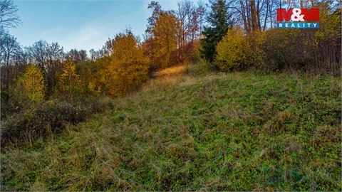 Prodej louky, 6 046 m² - 4