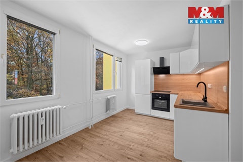 Prodej bytu 3+1, 57 m² 6