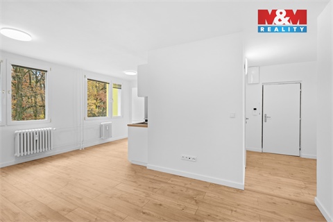 Prodej bytu 3+1, 57 m² 12