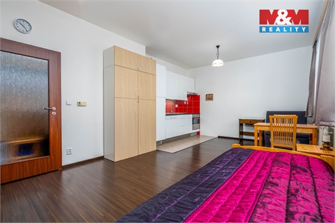 Prodej bytu 1kk, 36 m² 2