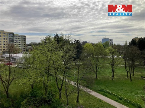 Pronájem bytu 1+1, 35 m² - 4