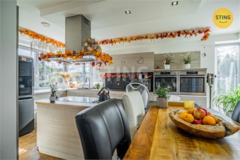 Prodej rodinného domu, 440 m² - 14