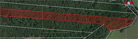 Prodej lesu, 32 765 m² 2