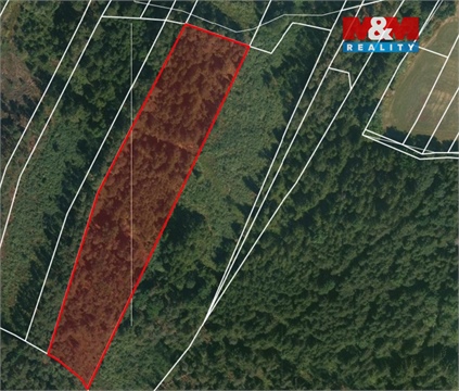 Prodej lesu, 32 765 m² - 0