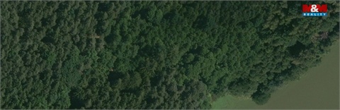 Prodej lesu, 32 765 m² - 2