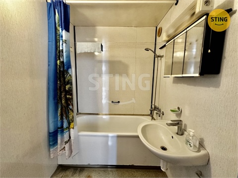 Pronájem bytu 3+1, 68 m² 16