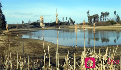 Prodej lesu, 6 045 m² 2