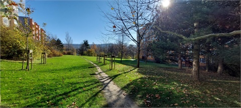 Pronájem bytu 3+1, 82 m² 22