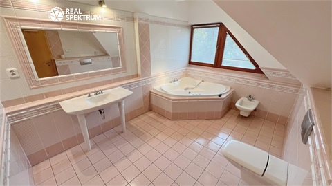 Pronájem rodinného domu, 200 m² - 14