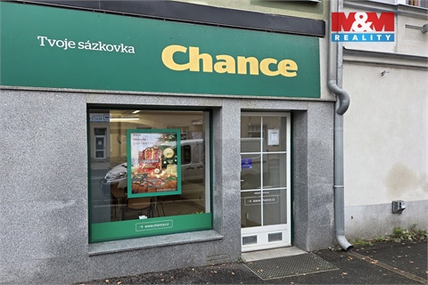 Pronájem obchodních prostor, 33 m² 6