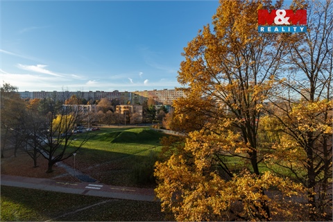 Prodej bytu 3+1, 70 m² 8