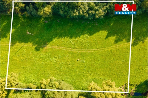 Prodej louky, 4 855 m² - 0