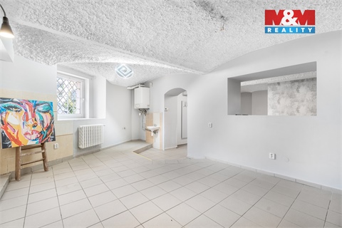 Prodej obchodních prostor, 53 m² 2