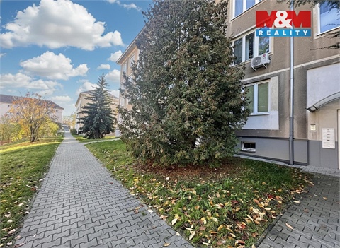 Prodej bytu 3+1, 70 m² 12