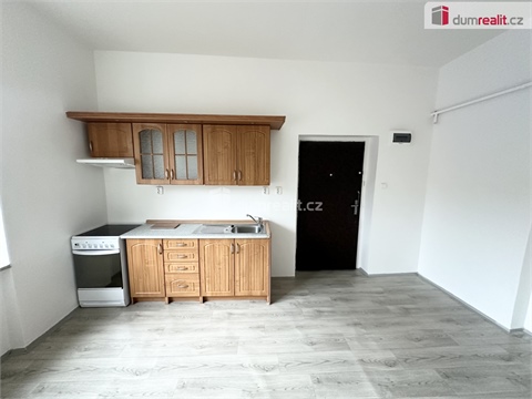 Pronájem bytu 1+1, 53 m² 0