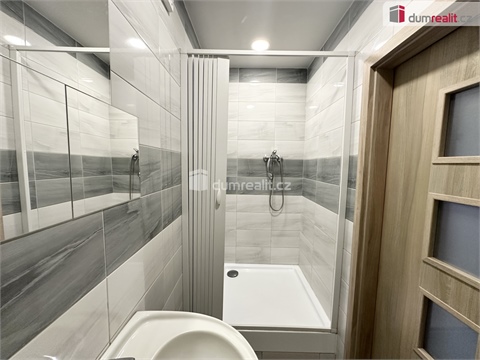 Pronájem bytu 1+1, 53 m² 2