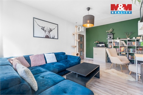 Prodej bytu 2+1, 57 m² 6