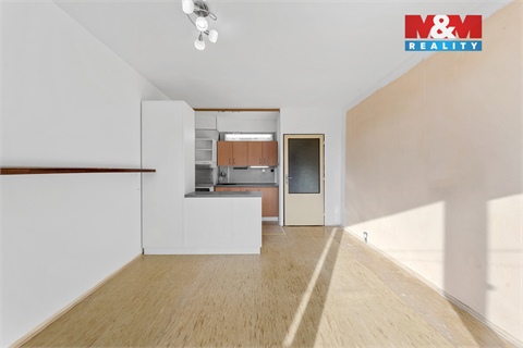 Prodej bytu 1kk, 28 m² - 4