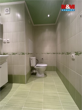 Pronájem bytu 1kk, 31 m² 12