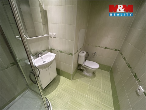 Pronájem bytu 1kk, 31 m² 10