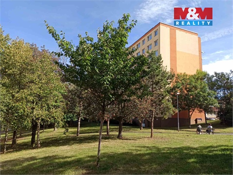 Pronájem komerčního objektu, 29 m² 12