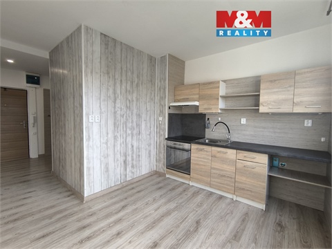 Pronájem bytu 1+1, 41 m² 0