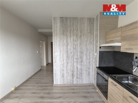 Pronájem bytu 1+1, 41 m² - 0