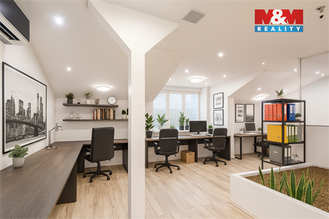 Prodej obchodních prostor, 140 m² - 10