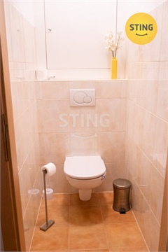 Pronájem bytu 3kk, 74 m² 10