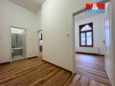 Pronájem bytu 2kk, 65 m² 8