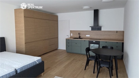 Pronájem bytu 1kk, 41 m² - 4