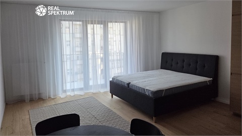 Pronájem bytu 1kk, 41 m² 0