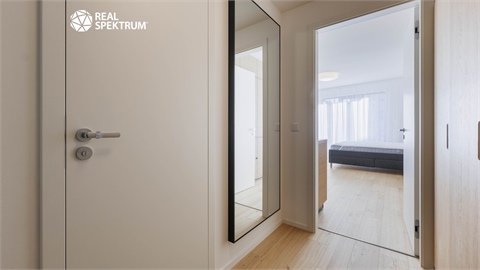 Pronájem bytu 1kk, 41 m² 12