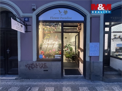 Pronájem obchodních prostor, 24 m² 6