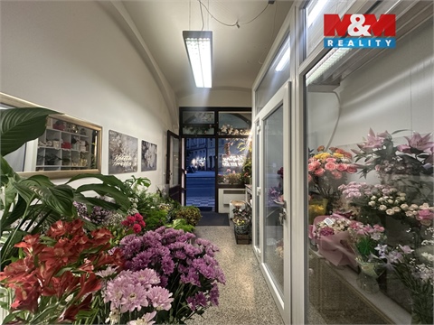 Pronájem obchodních prostor, 24 m² 2