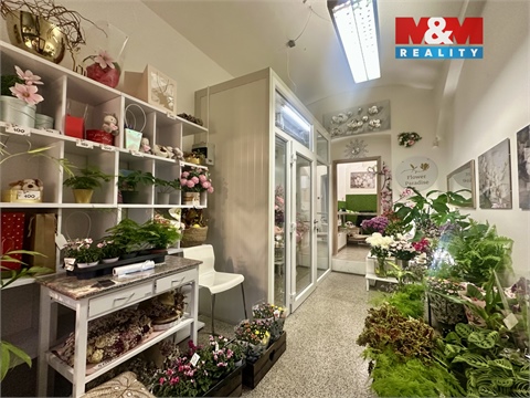 Pronájem obchodních prostor, 24 m² - 0