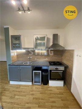 Pronájem bytu 1kk, 45 m² 0