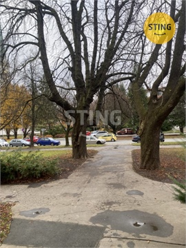 Pronájem bytu 1kk, 45 m² - 16