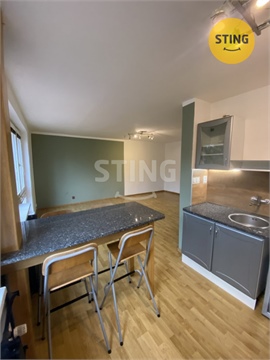 Pronájem bytu 1kk, 45 m² 8