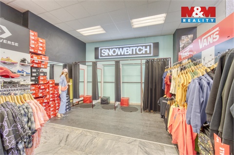 Pronájem obchodních prostor, 456 m² - 18