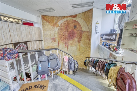 Pronájem obchodních prostor, 456 m² 12