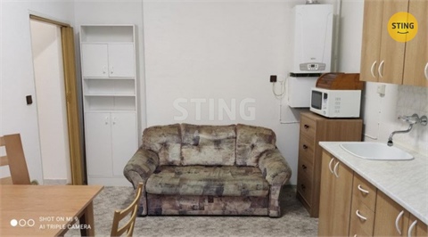 Pronájem bytu 1+1, 56 m² - 8