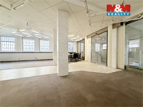 Pronájem obchodních prostor, 170 m² - 16