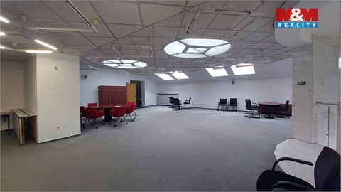 Pronájem obchodních prostor, 500 m² 12