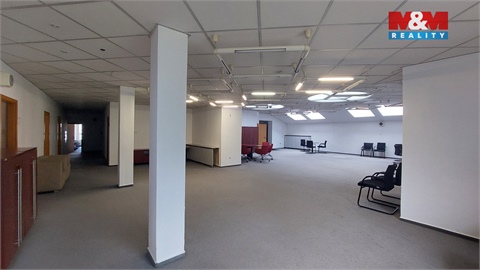 Pronájem obchodních prostor, 500 m² - 12