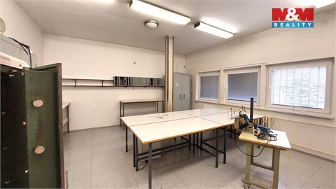 Pronájem obchodních prostor, 500 m² 4